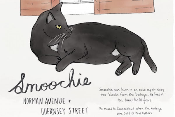 We Chat With Illustrator Sunny Eckerle About Her Bodega Cats