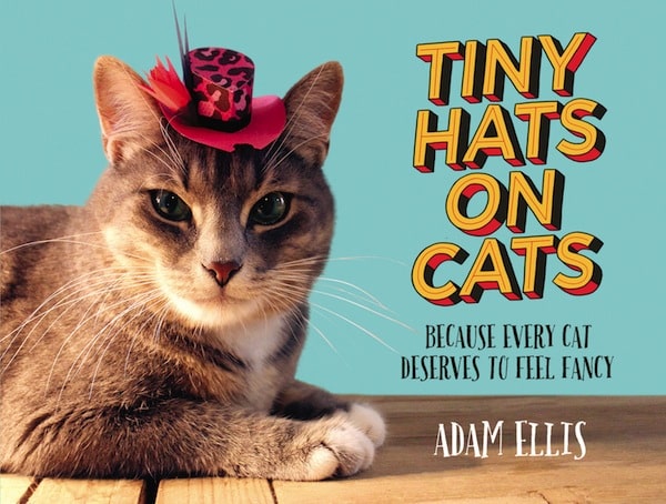Adam Ellis Talks About His Photo Book "Tiny Hats on Cats"