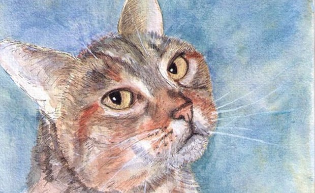 We Chat With Pet Portrait Artist Thomas Dalsgaard Clausen