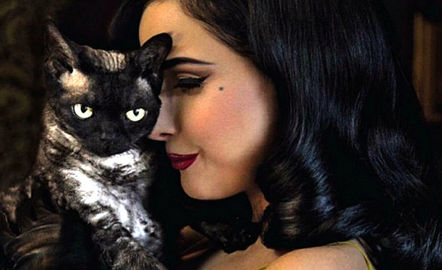 Meet Aleister, the Devilishly Dapper Cat of Dita Von Teese