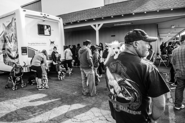 Compassion Without Borders Aims to Bring Basic Vet Care to Low-Income Populations