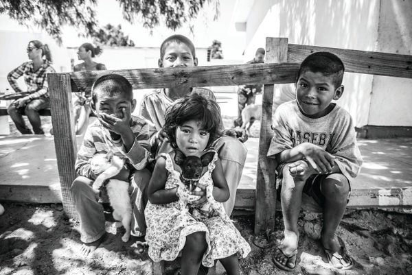 A group of children holding their pets