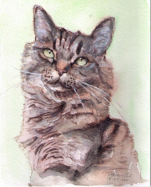 Cat Portrait Benji