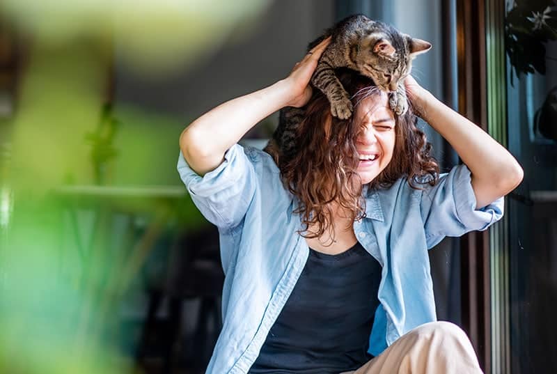 How to Handle the Post-Kitten Blues: 4 Vet-Verified Cat Care Tips