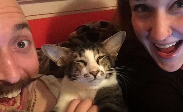 We Interview Kylo Ren, the Cat Who Looks Like Adam Driver