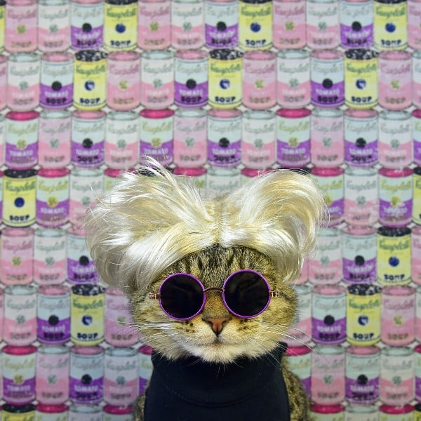 We Chat With “Cat Art Show 2” Curator Susan Michals About Her Exhibition Devoted to Cats