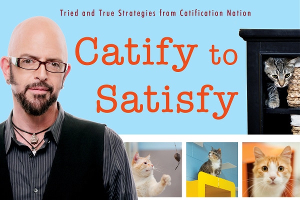 Jackson Galaxy Offers Home Improvements That Also Improve Your Cat's Life