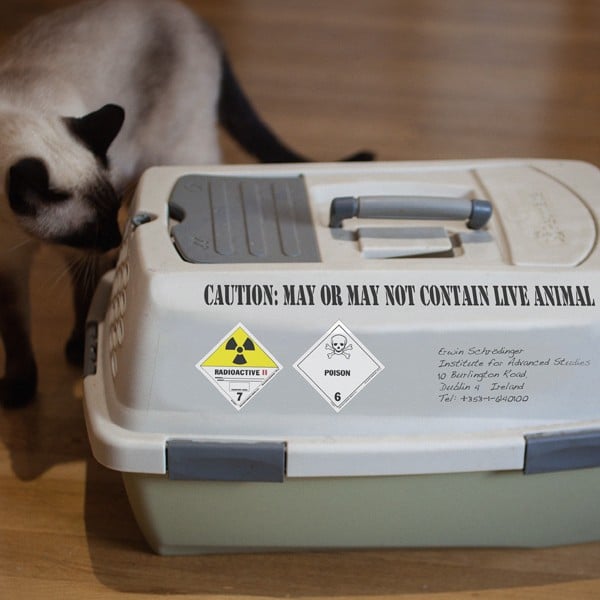 schrodinger's cat