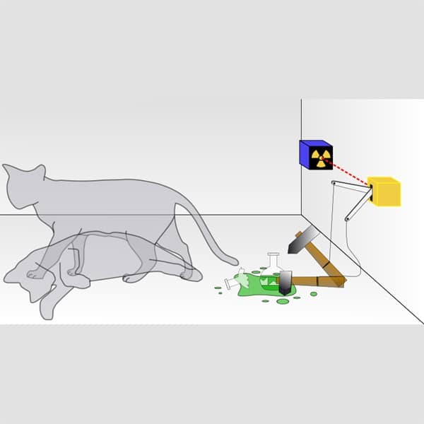 schrodinger's cat