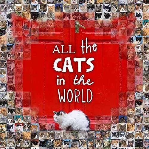 Jesse Hunter Visited 44 Countries for His Photo Book, "All the Cats in the World"