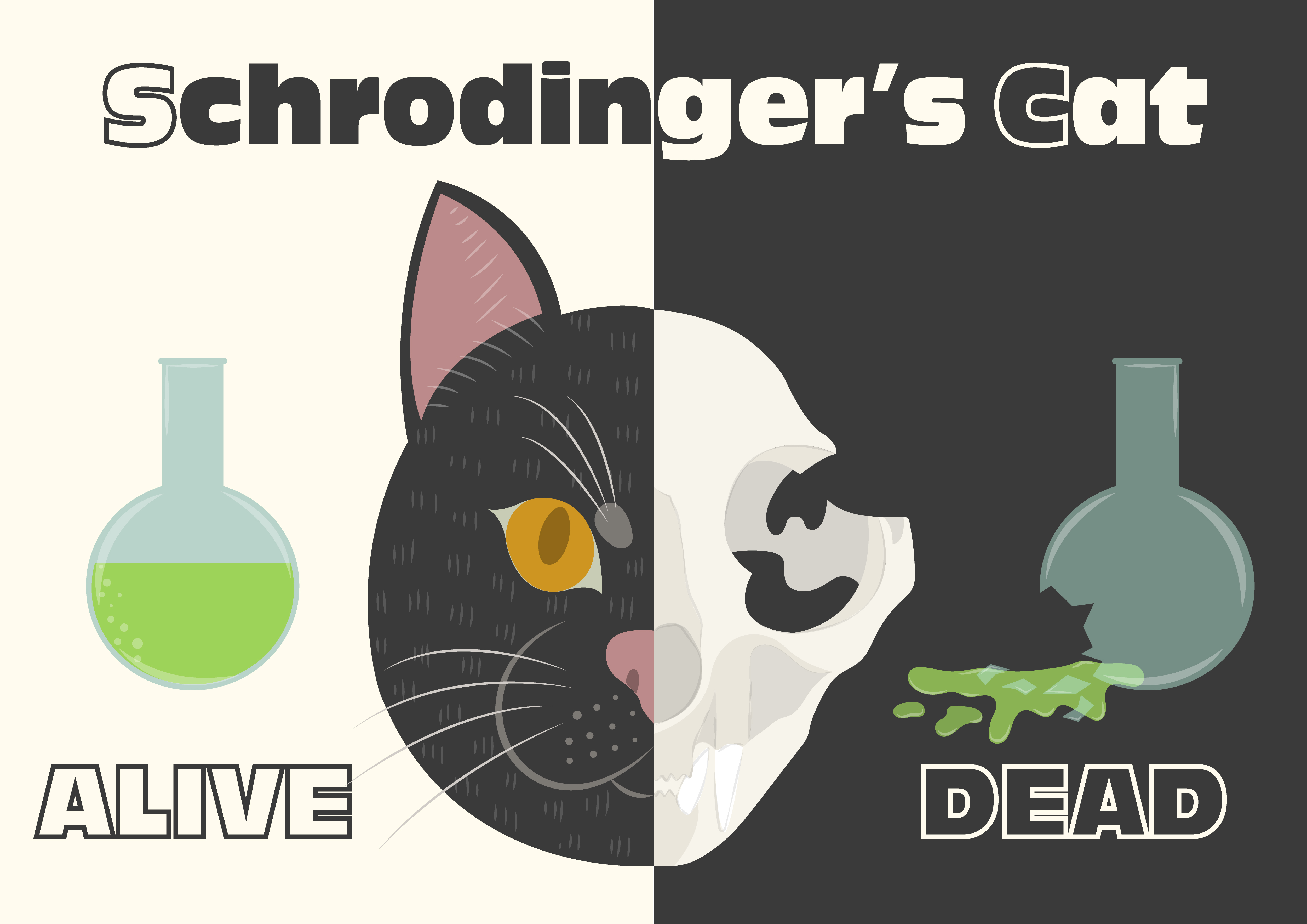 Who Is Schrodinger's Cat? We Explain It for Cat People
