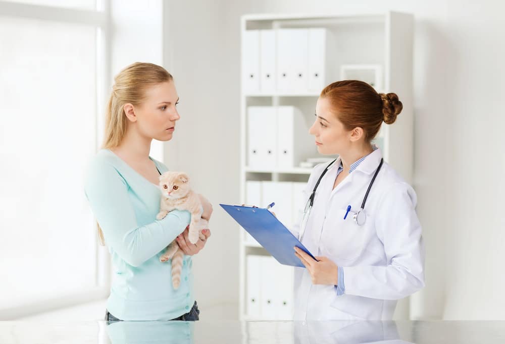 What to Do if I Can't Afford a Vet: 5 Tips for People Who Can't Afford Vet Care