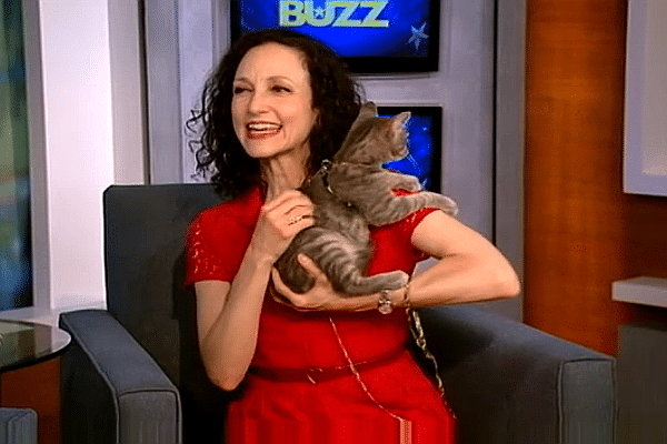 Bebe Neuwirth Talks About Her Love of Cats and Animal Rescue