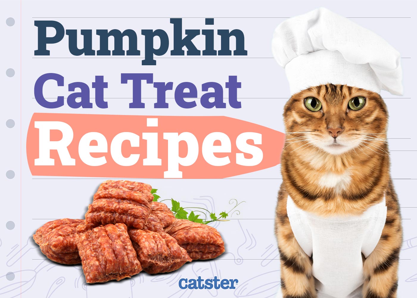 3 Homemade Pumpkin Cat Treat Recipes To Enjoy This Fall