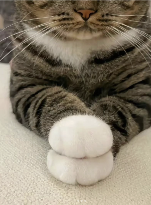 Criss-Cross