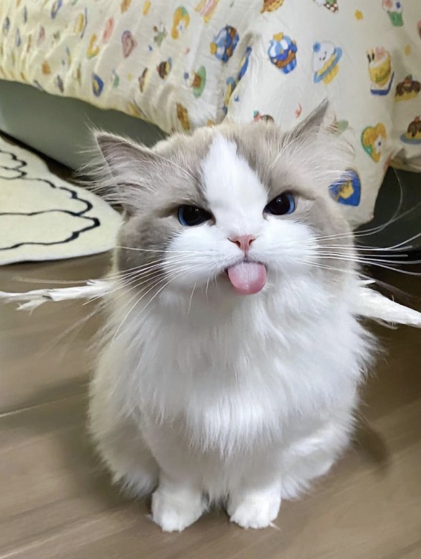 Tongues Out