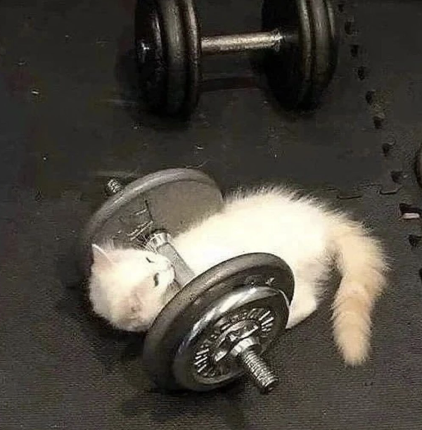Pumping Iron