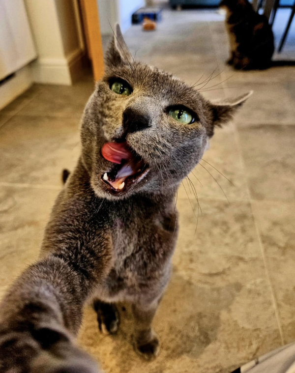 Selfie Time