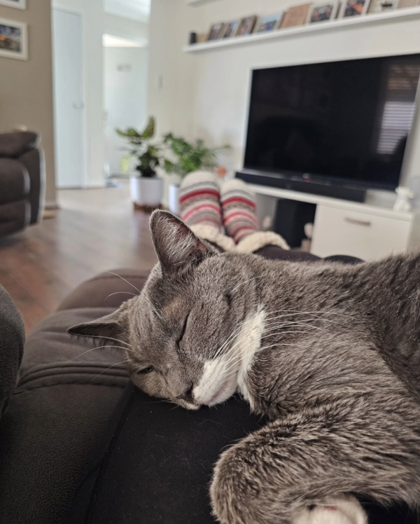 Sleepy Hugs