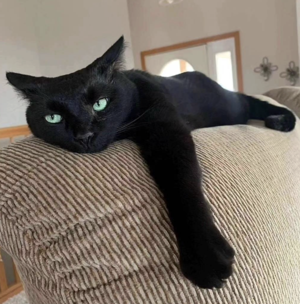 Lounging