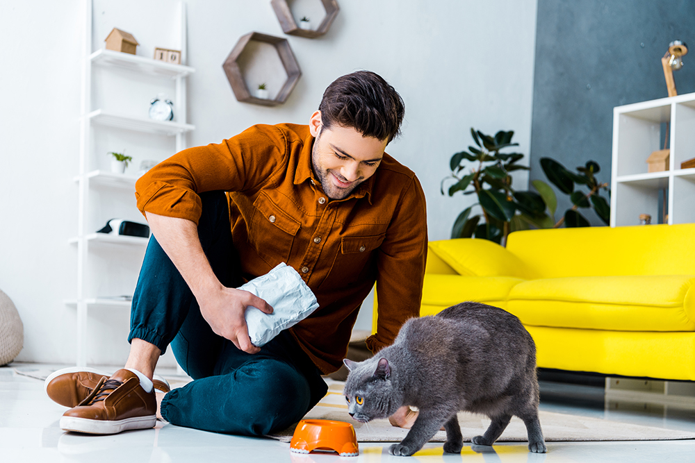 16 Great Cat Gifts for Him in 2026 - Fun Options for the Cat Guy in Your Life