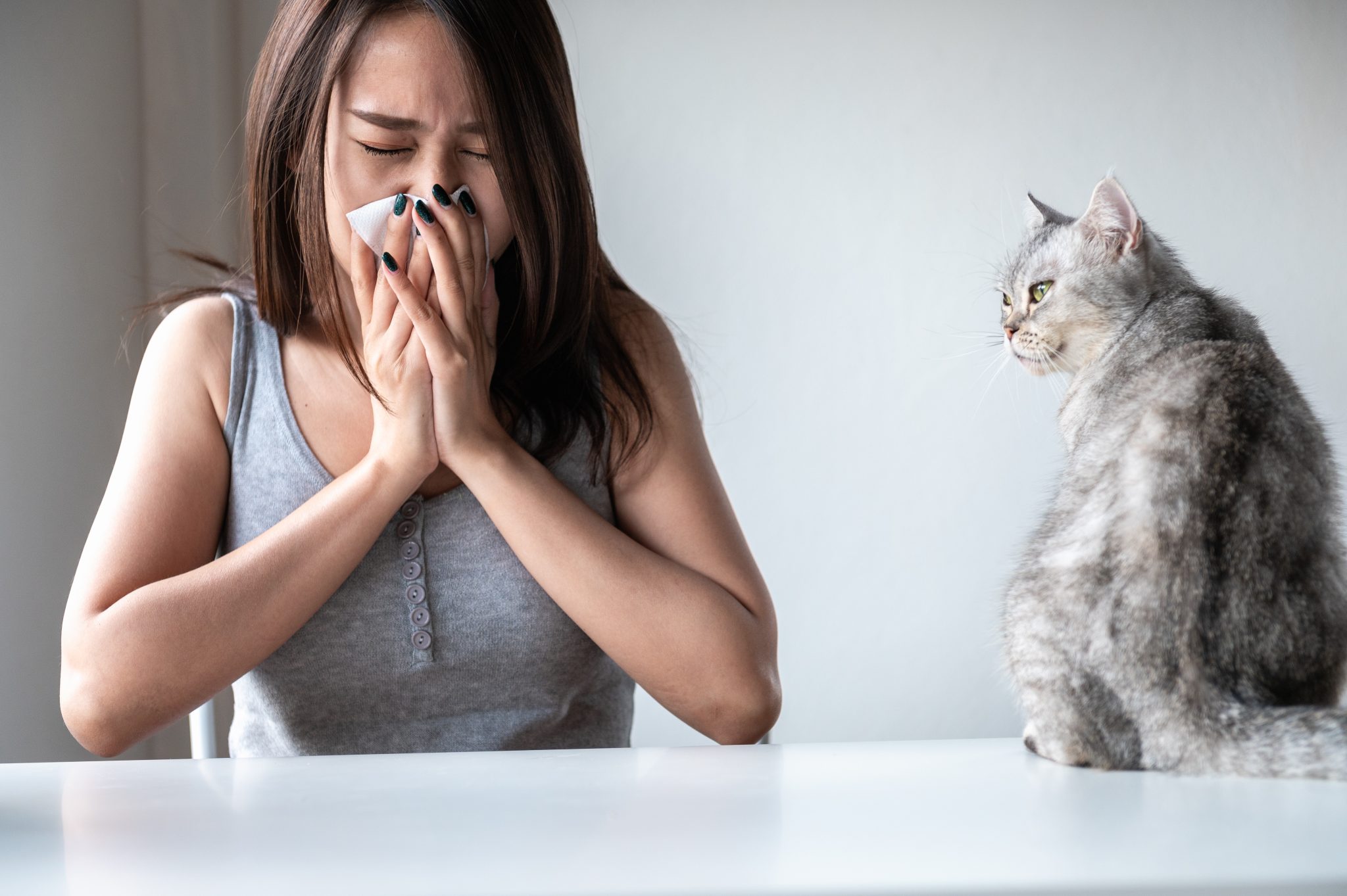 Why Does My Cat Meow When I Sneeze? Vet-Reviewed Facts & Funny Videos
