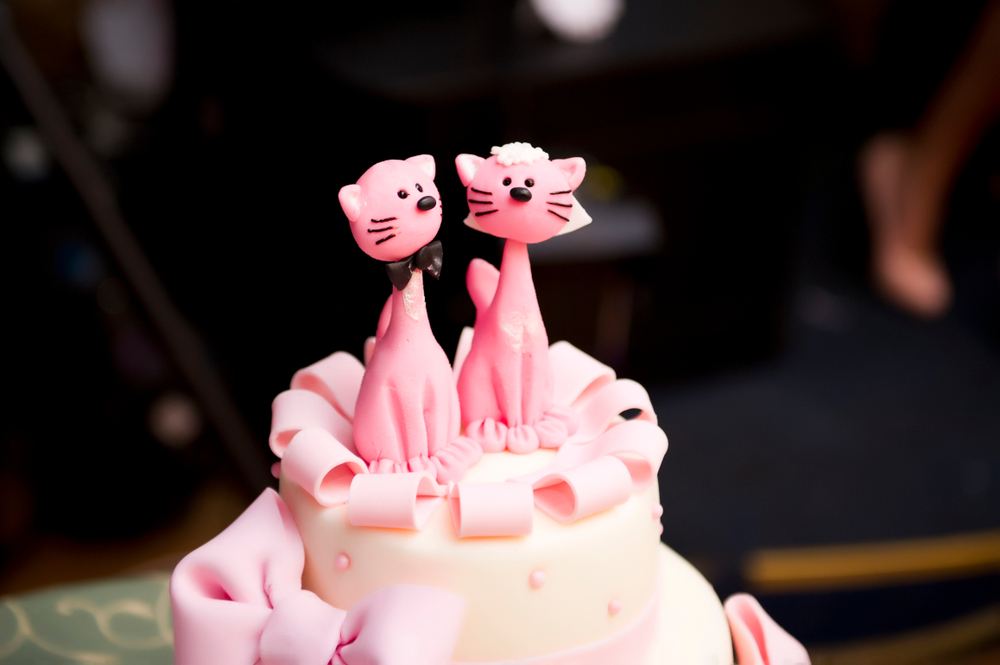 cat figures on the cake