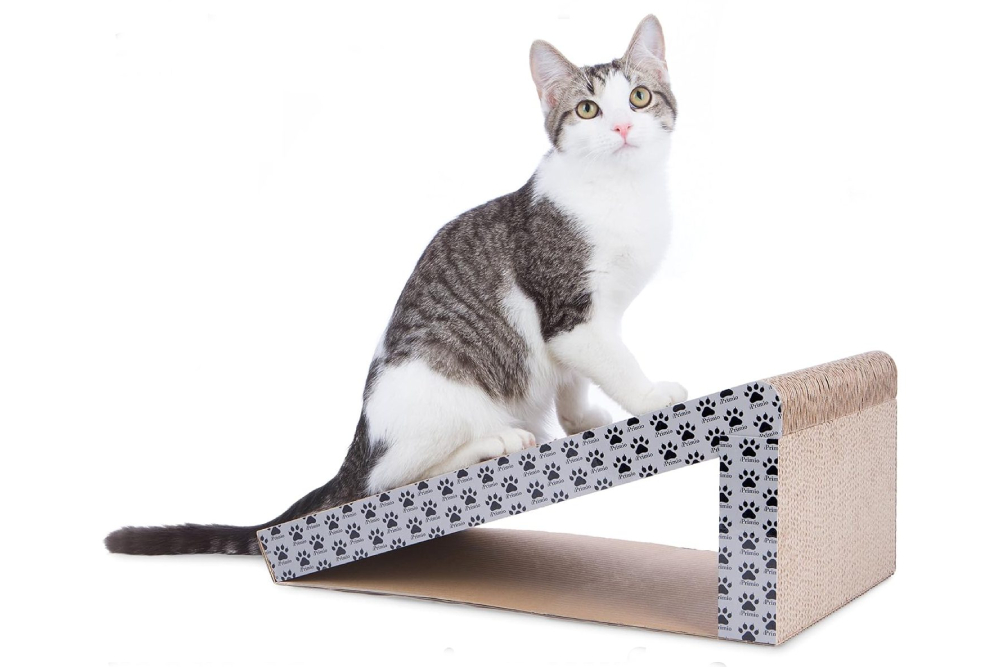 5 Best Litter Box Ramps for Senior Cats in 2026 – Reviews & Top Picks (Vet-Verified)