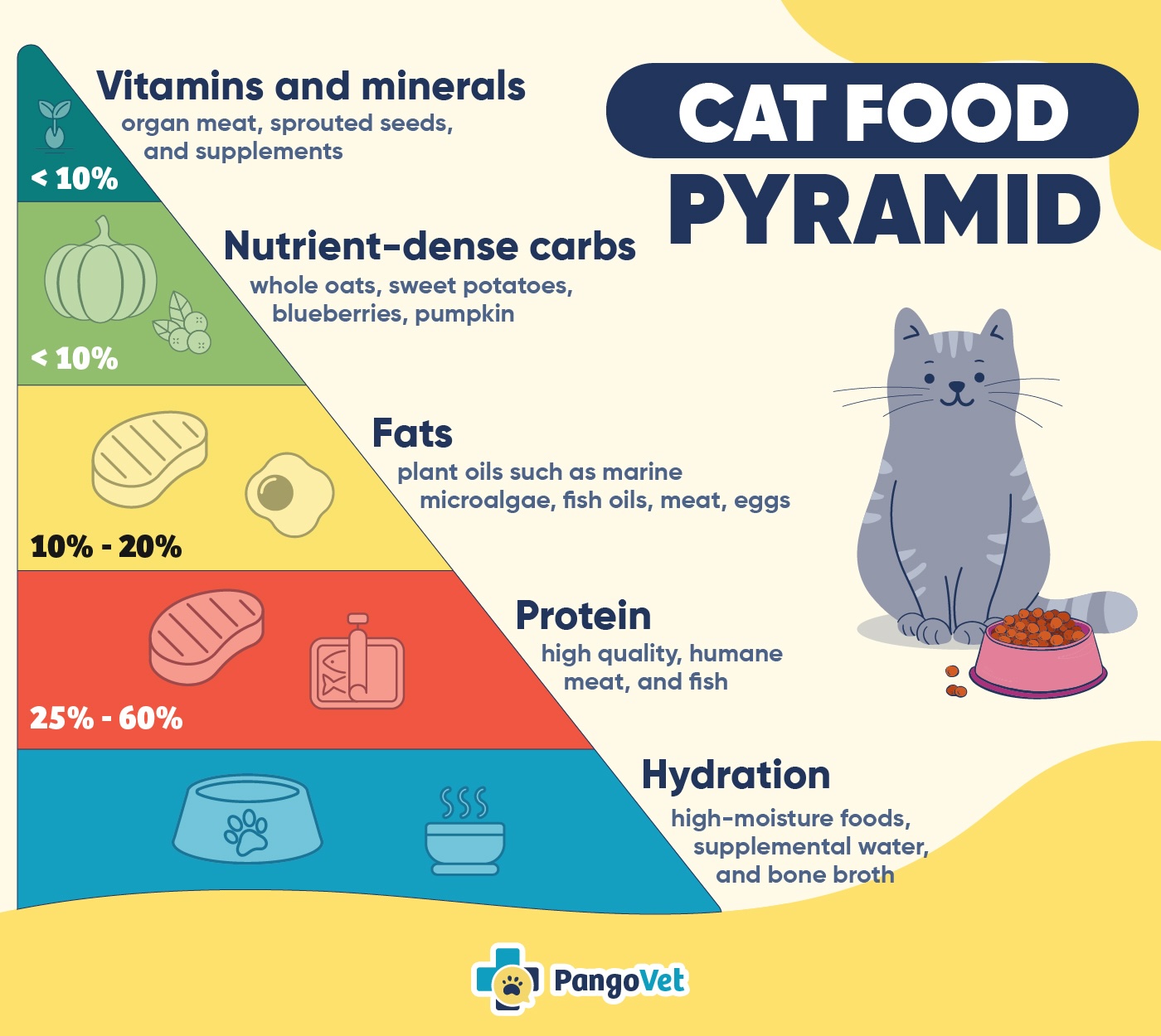 Cat Food Pyramid PGV infographic