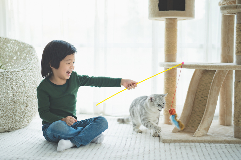 How to Teach Your Kids to Approach Unfamiliar Cats: 8 Vet-Approved Tips