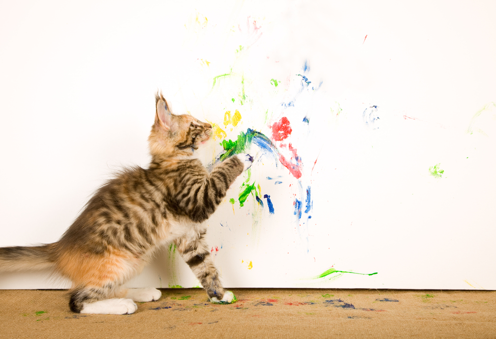 Olive & Rye Custom Cat Portraits and Art