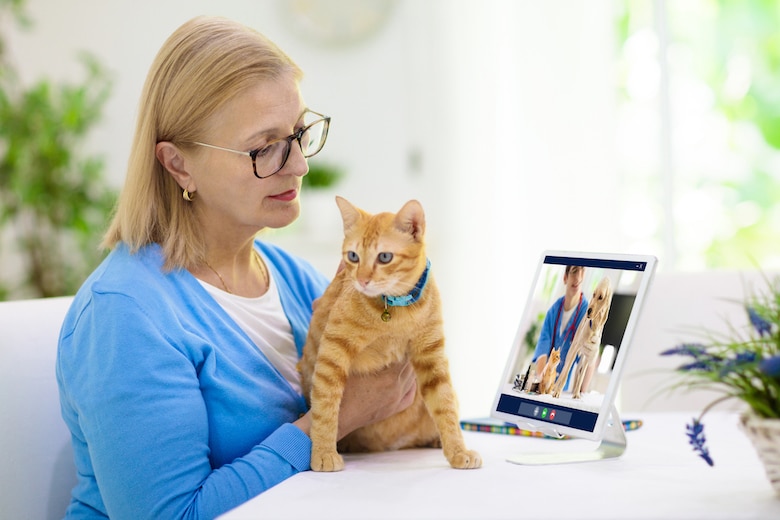 The 6 Best Online Vet Services for Canadians in 2026 - Reviews & Top Picks
