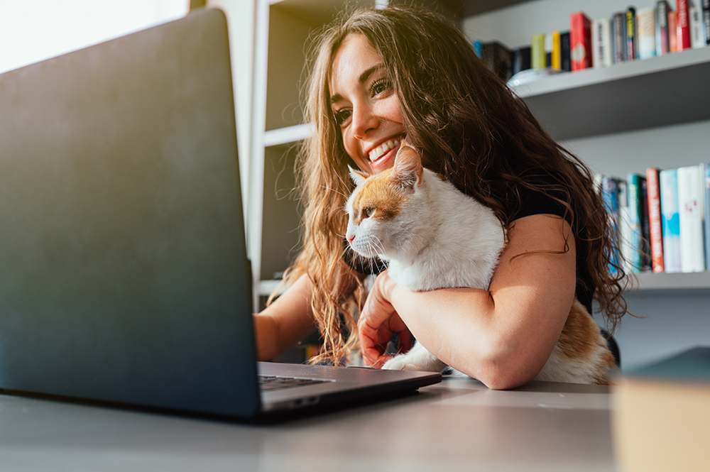 Working from Home With Cats: 10 Vet-Reviewed Ways to Prevent Distractions