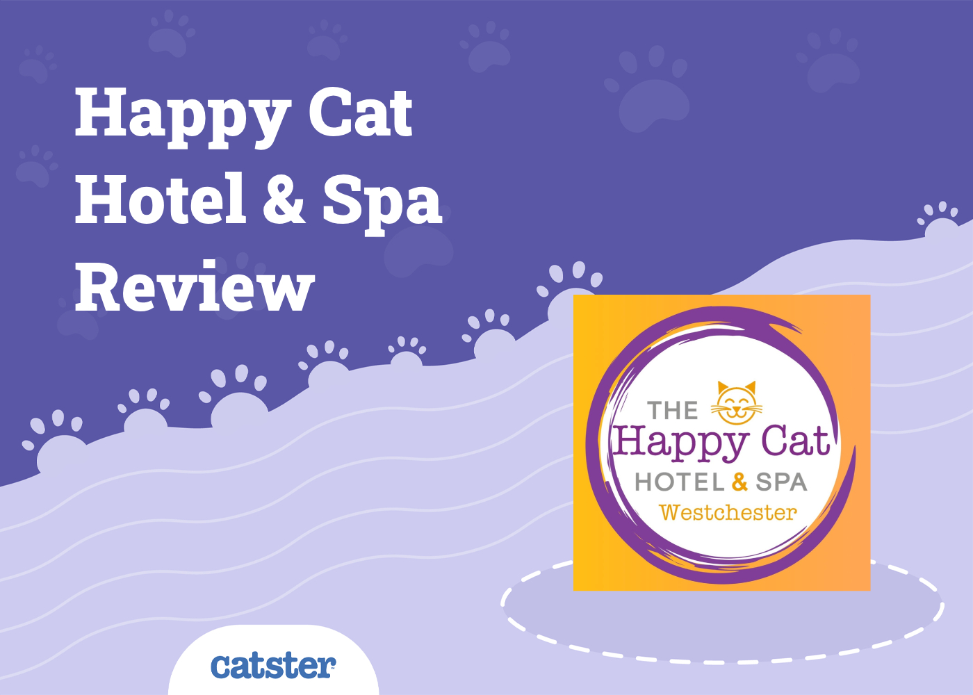 Happy Cat Hotel & Spa 2026 Review: Our Expert Opinion
