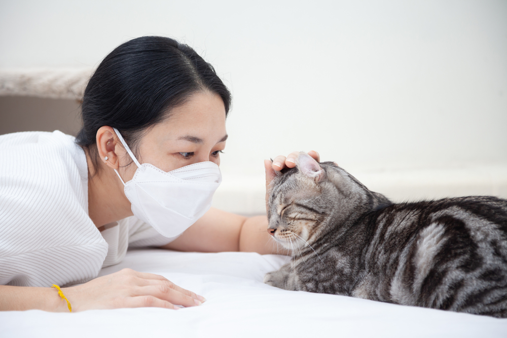 Living With Cats When You're Immunocompromised: Our Vet Explains the Risks, Options, & Provides Tips