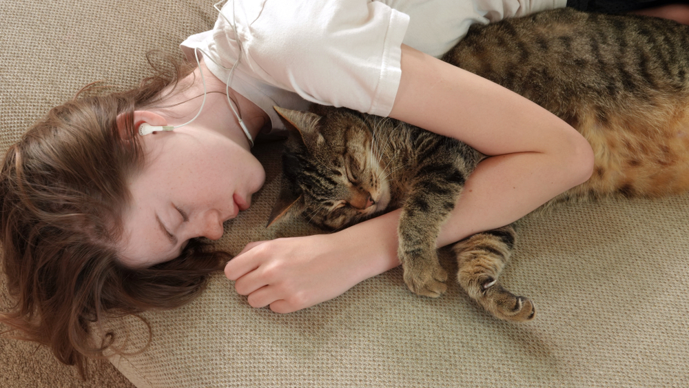 Do Cats Like Being Squished? Our Vet Answers & Explains Feline Behavior