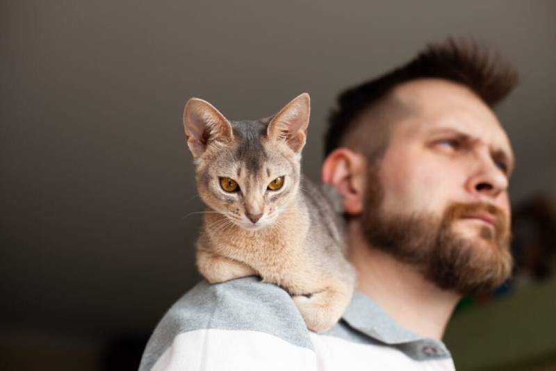 Do Cats Protect Their Owners? Vet-Verified Facts & Signs