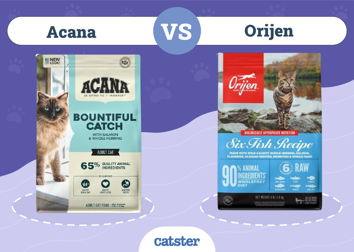 Acana vs. Orijen Cat Food: Our 2026 In-Depth Comparison