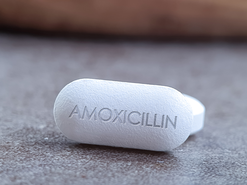 Amoxicillin for Cats: Our Vet Explains Uses, Doses & Side Effects