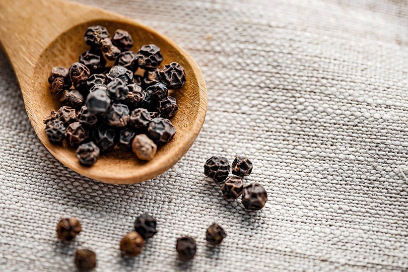 Does Black Pepper Keep Cats Away? Vet-Reviewed Facts & FAQ