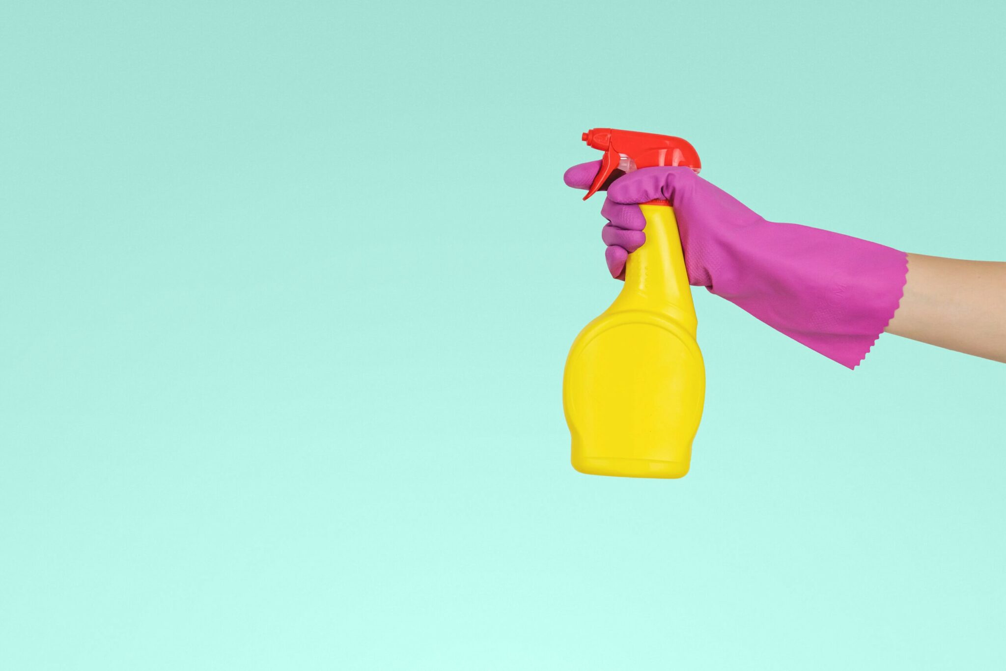 Why Do Cats Like the Smell of Bleach? Vet-Reviewed Feline Behavior Explanation