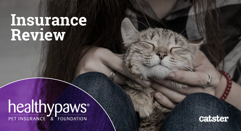Healthy Paws Pet Insurance Review in 2026: Pros, Cons & Verdict