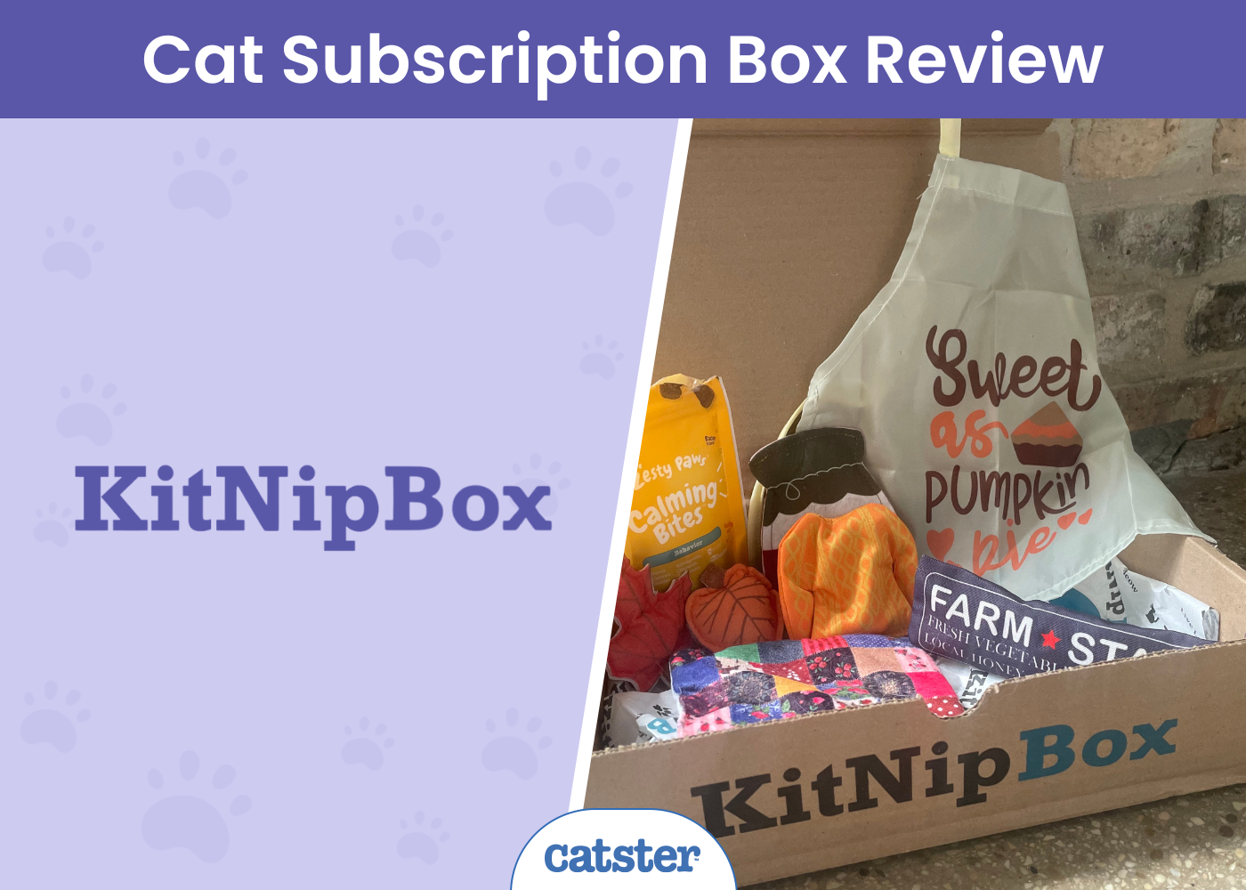 KitNipBox Cat Subscription Box Review 2026: Pros, Cons & Verdict