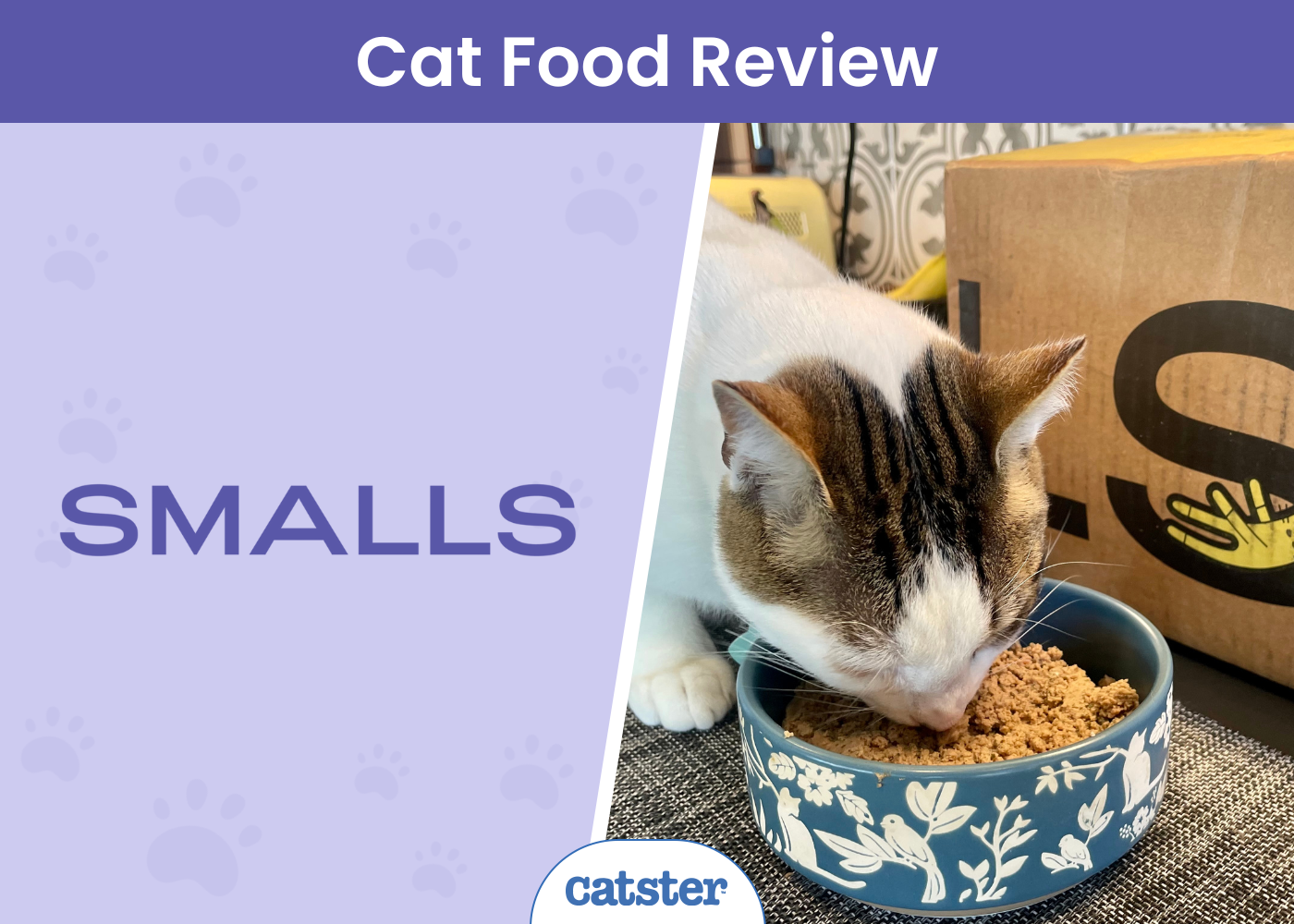 Smalls Cat Food Review 2026: Pros, Cons & Final Verdict