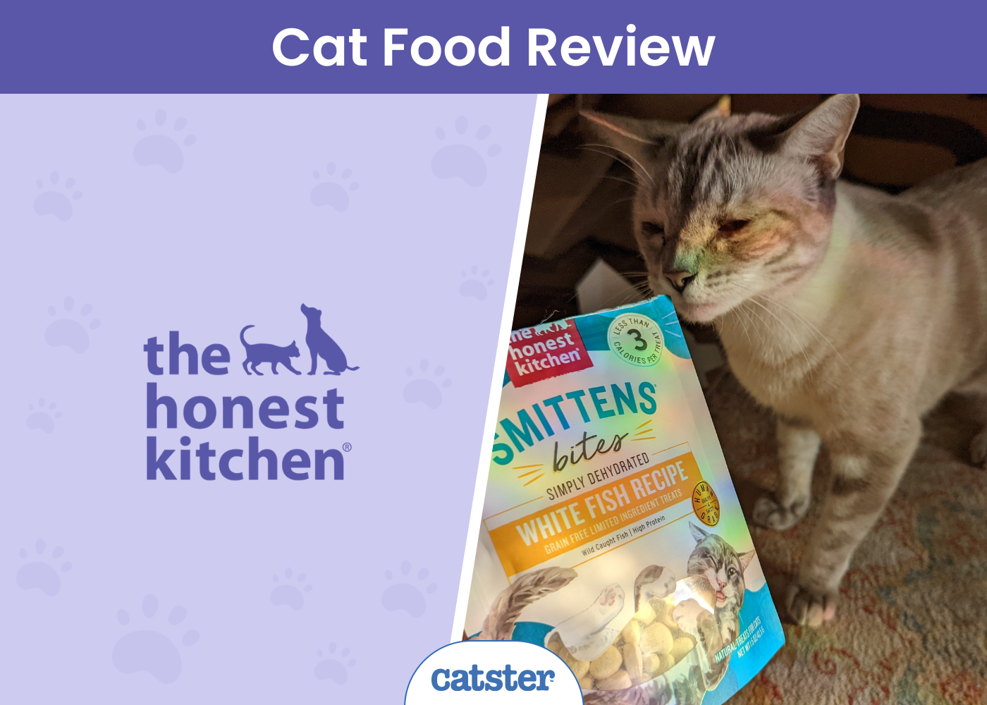 The Honest Kitchen Cat Food Review in 2026: Pros, Cons, Final Verdict