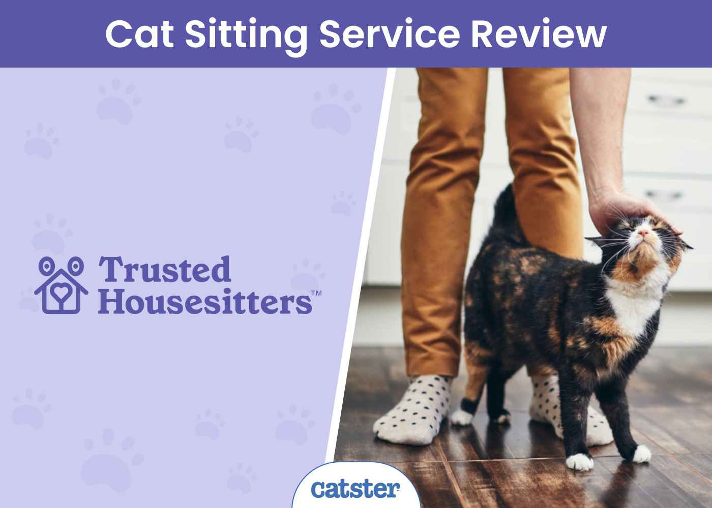 TrustedHousesitters Review 2026: Our Expert’s Opinion