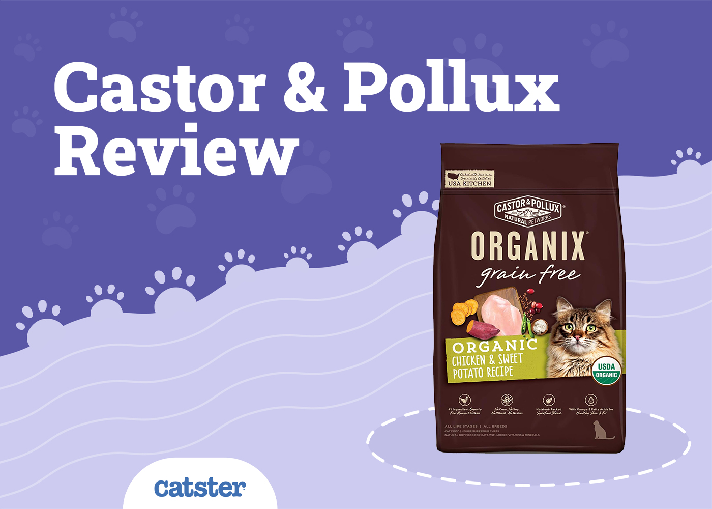 Castor & Pollux Organix Cat Food Review in 2026: Recalls, Pros & Cons