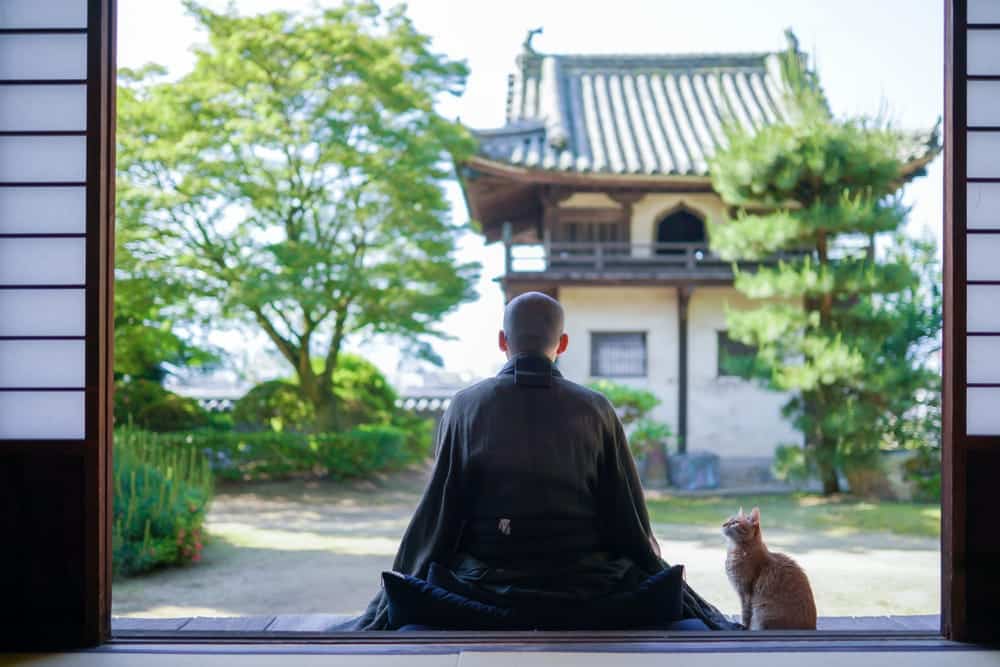 Yanaka, the Aptly Named "Cat Town" of Tokyo