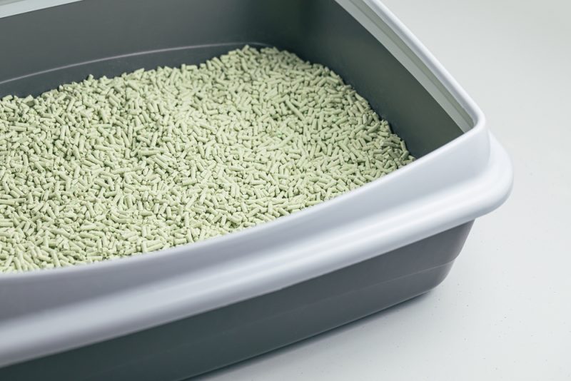 Cat litterbox with natural flushable biodegradable tofu litter