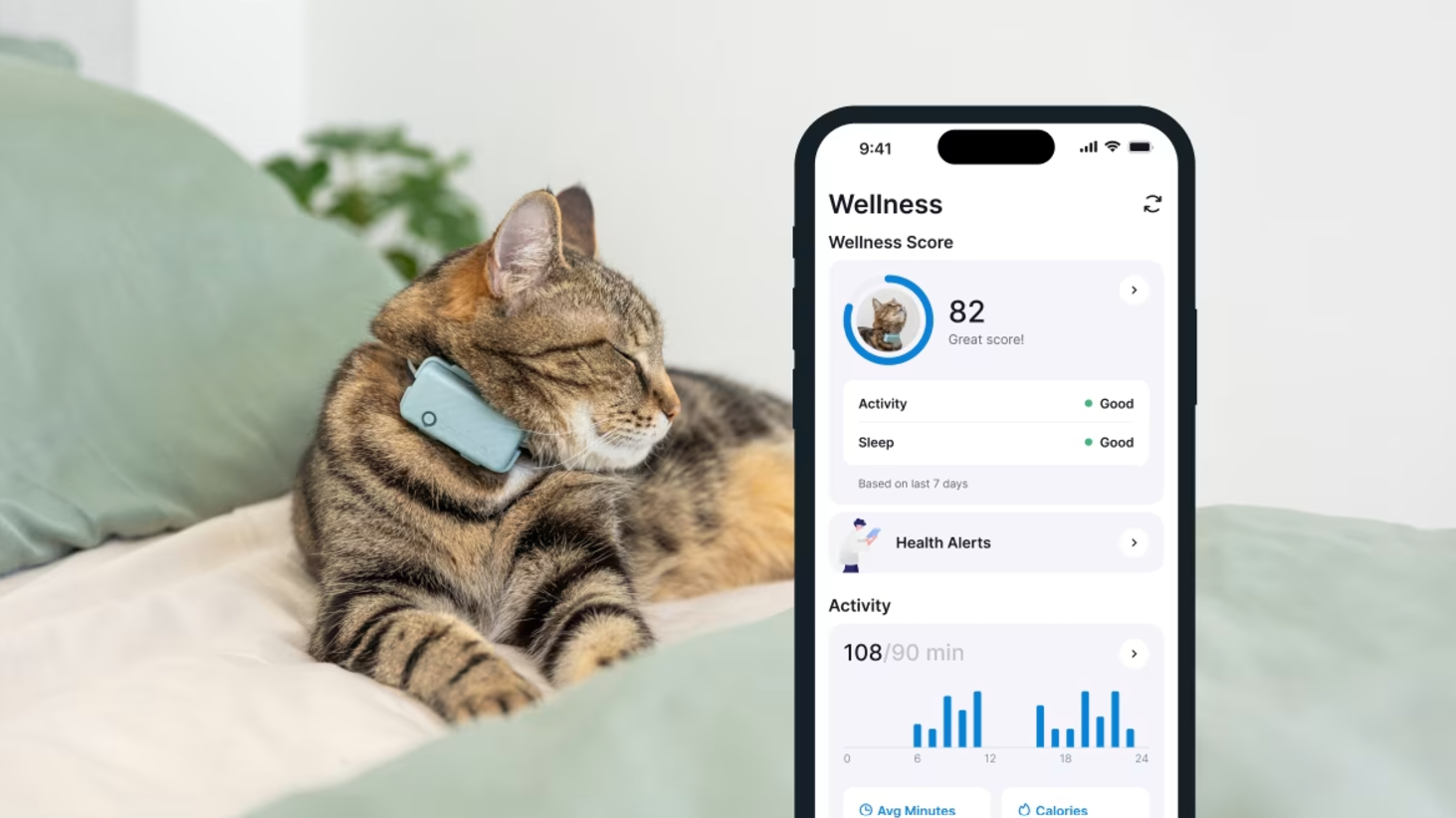 Cat with tractive gps cat mini and sleep monitoring stats on the app